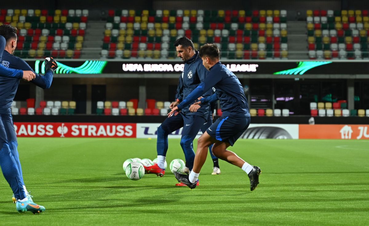 Reacția lui MM Stoica, după ce a văzut gazonul de la Silkeborg: „Mda, asta e carpetă de la Jysk!”