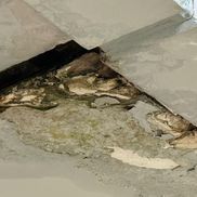 Arena Națională, afectată de infiltrații/ foto: GSP