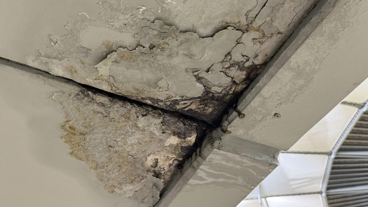 Arena Națională, afectată de infiltrații