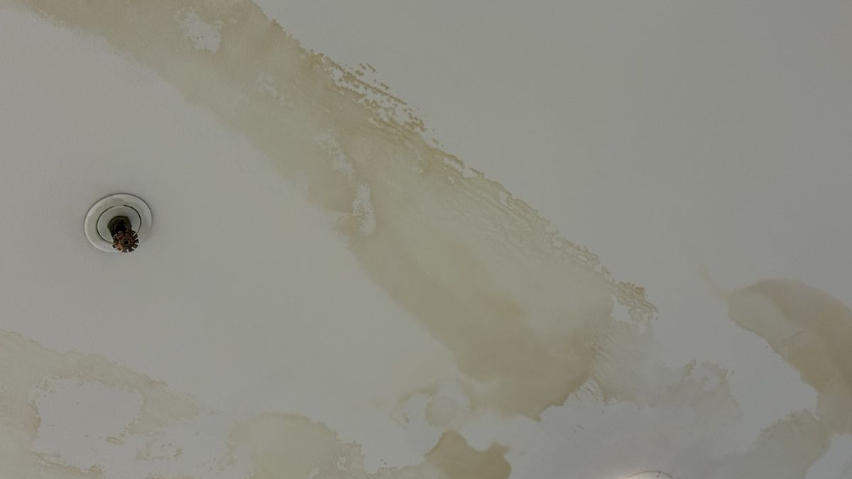 Arena Națională, afectată de infiltrații