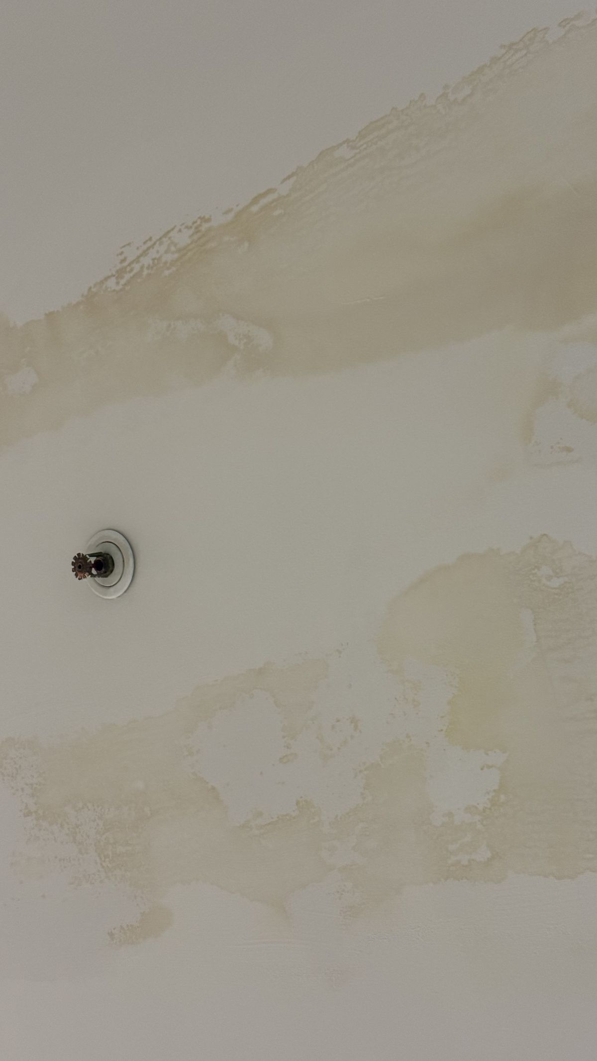 Urmările ploilor masive pe Arena Națională » Imagini incredibile pe cel mai scump stadion din România, la FCSB - Craiova