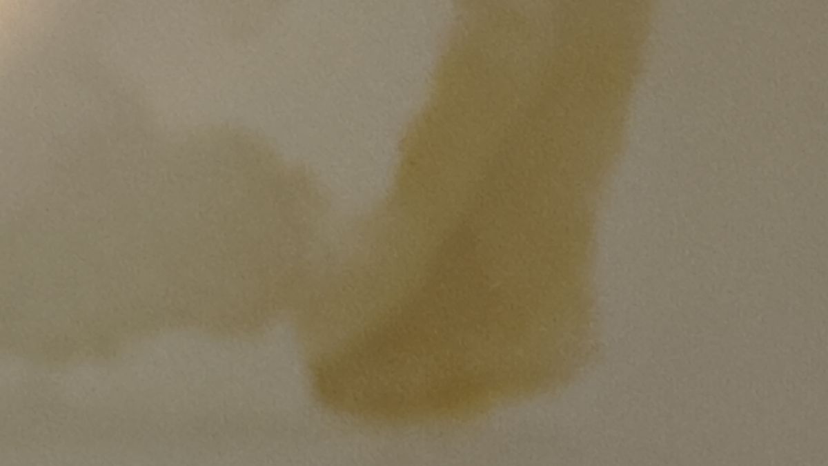 Arena Națională, afectată de infiltrații