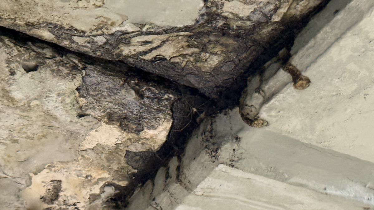 Urmările ploilor masive pe Arena Națională » Imagini incredibile pe cel mai scump stadion din România, la FCSB - Craiova