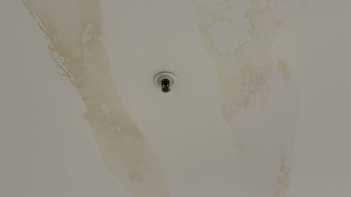 Urmările ploilor masive pe Arena Națională » Imagini incredibile pe cel mai scump stadion din România, la FCSB - Craiova