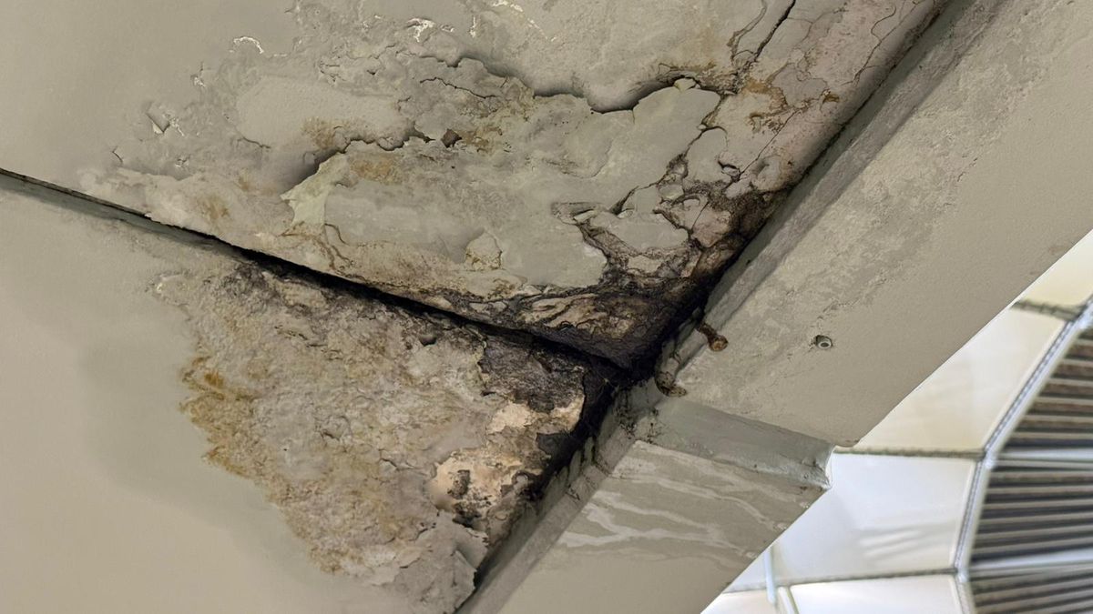 Arena Națională, afectată de infiltrații