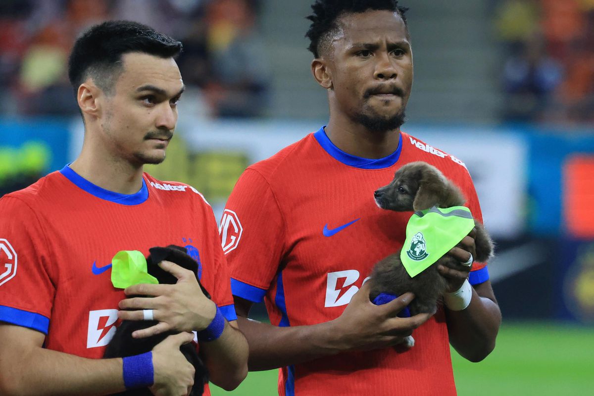 Mirel Rădoi pregătește deja următorul mercato: „Probabil va ajunge în iarnă!”