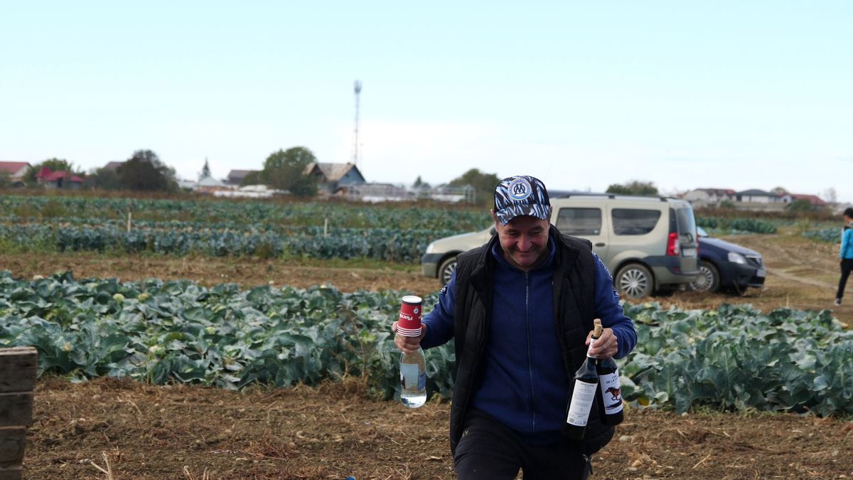 Fotbal la Lungulețu printre tone de varză! »„Am chemat «Uberul» ca să nu vin prin noroaie. Trage-i frâna de mână la cal”