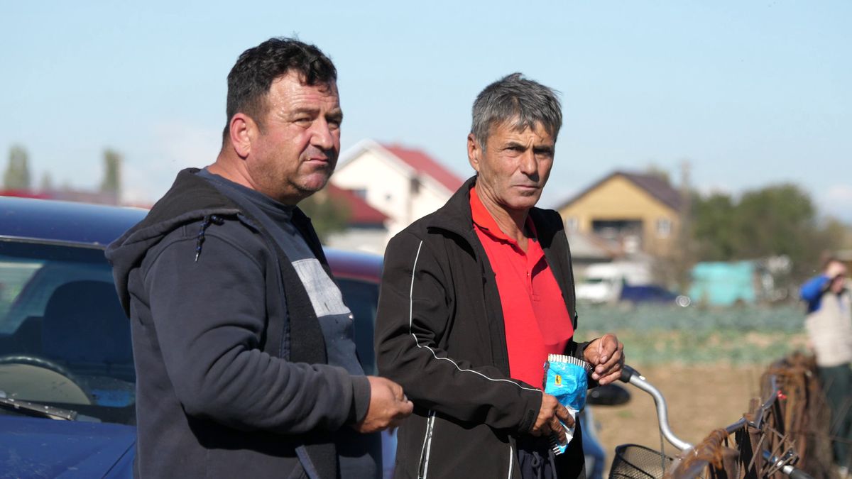 Fotbal la Lungulețu printre tone de varză! »„Am chemat «Uberul» ca să nu vin prin noroaie. Trage-i frâna de mână la cal”