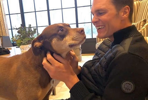 Tom Brady și câinele său, Lua Foto: Facebook