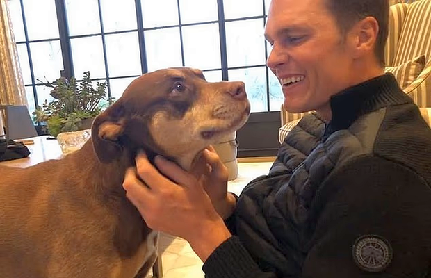 Tom Brady, fostul mare jucător de fotbal american, a dezvăluit că și-a clonat câinele! Unde se află clinica și cât l-a costat