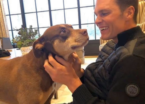 Și-a clonat câinele! Tom Brady a dezvăluit cât l-a costat procedura și unde se află clinica