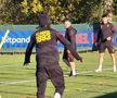 Imagini de la antrenamentul oficial al lui FC Basel / FOTO: Cezar Titor (GSP)