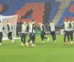 Imagini de la antrenamentul oficial susținut de FCSB la Basel / FOTO: GSP