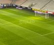 Vești bune pentru Dinamo » Cum arată gazonul pe „Arcul de Triumf” înainte de meciurile „câinilor”