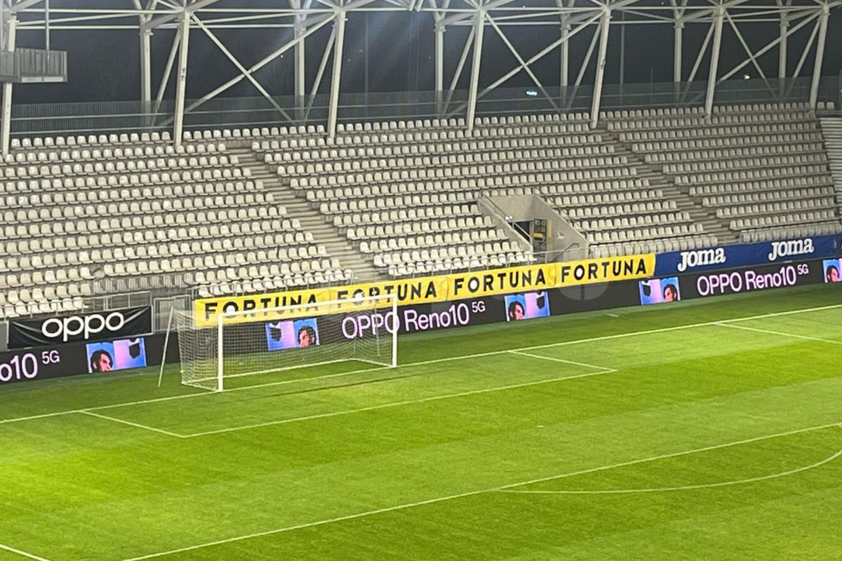 Vești bune pentru Dinamo » Cum arată gazonul pe „Arcul de Triumf” înainte de meciurile „câinilor”