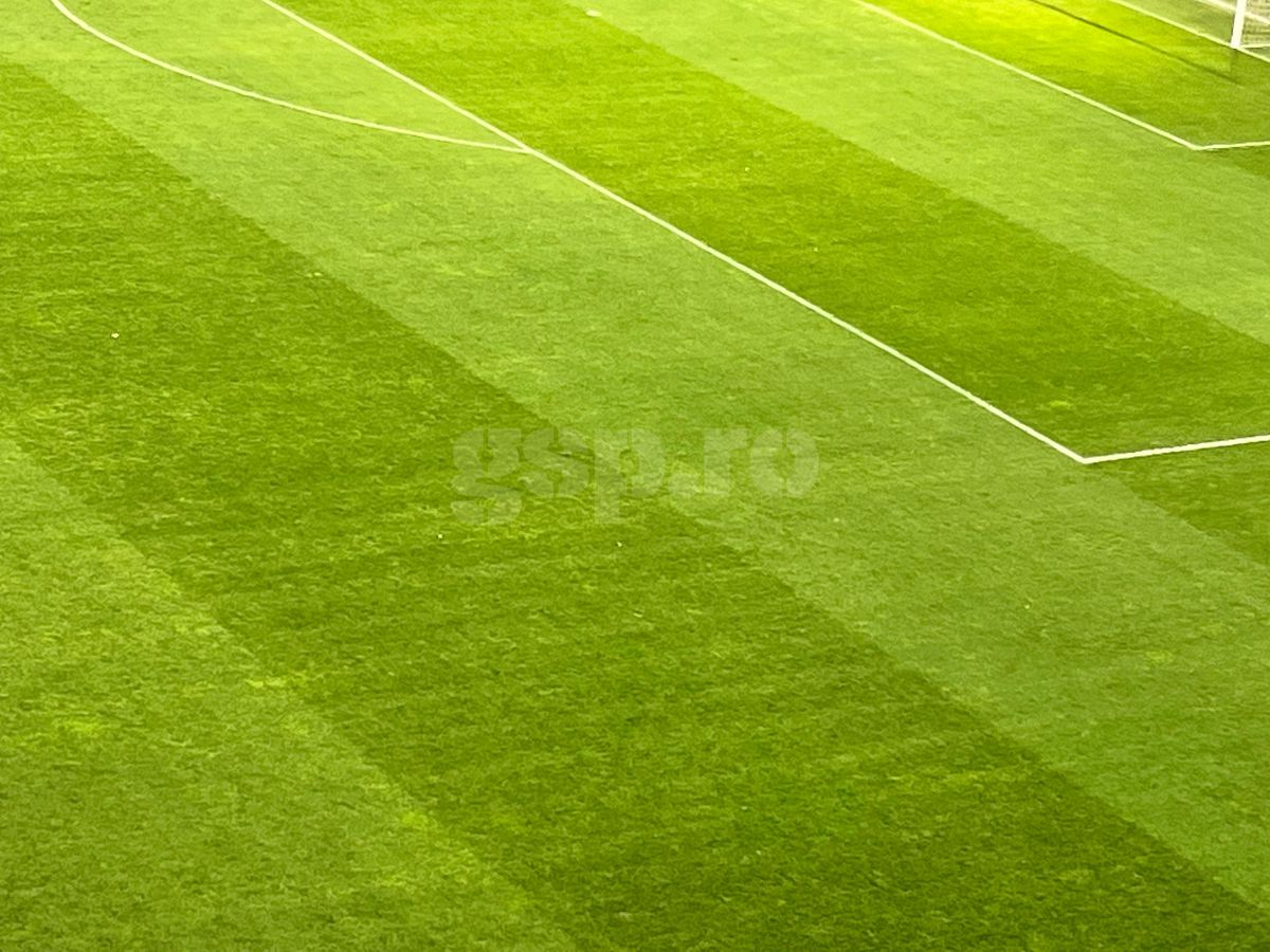 Vești bune pentru Dinamo » Cum arată gazonul pe „Arcul de Triumf” înainte de meciurile „câinilor”