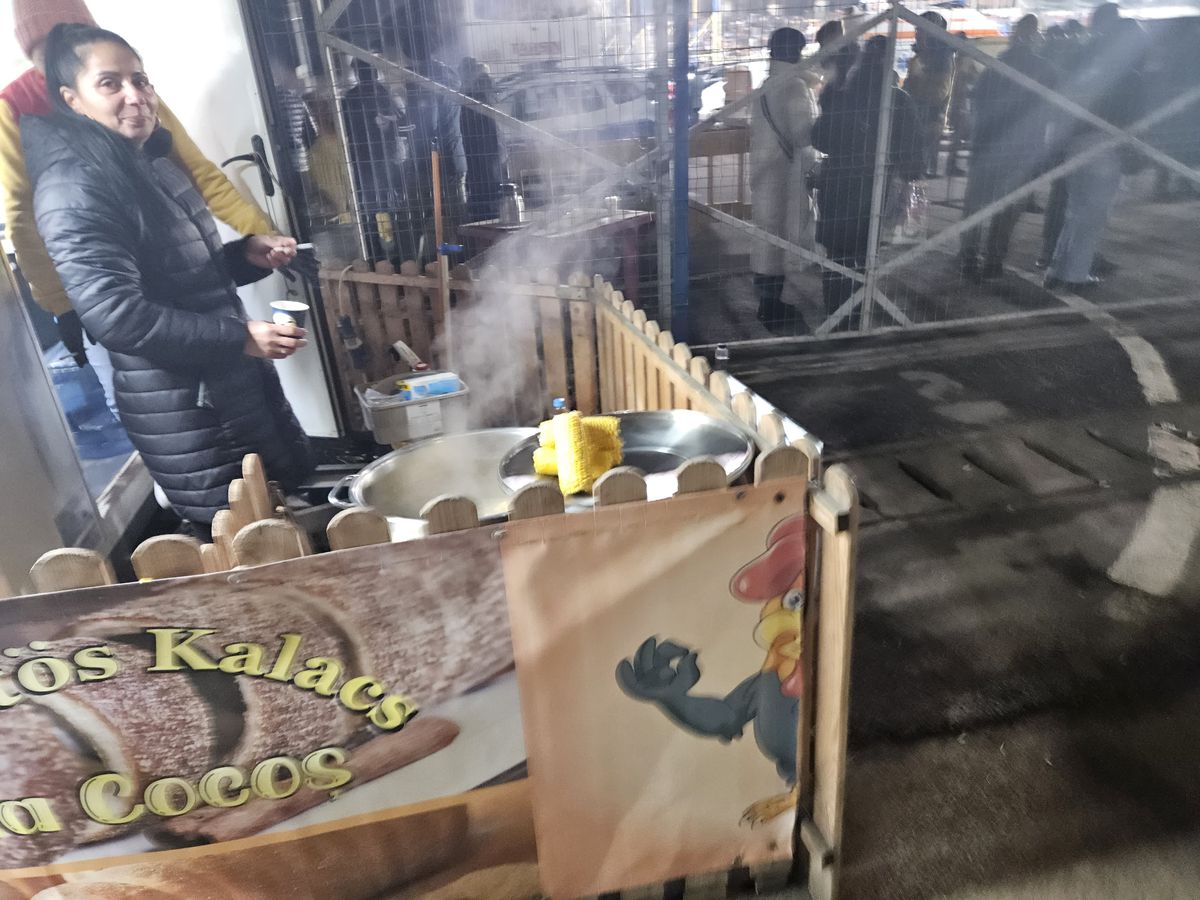 Agricola Borcea - FCSB, înainte de meci