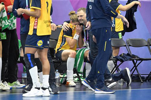 Suedia a fost eliminată de la Campionatul Mondial // foto: Imago Images