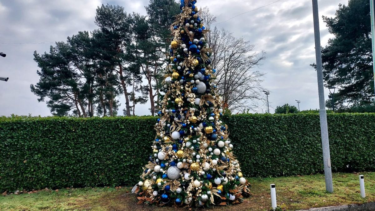 Am pătruns în fortăreața în care Cristi Chivu pregătește succesele lui Inter » Ce am găsit în impresionanta bază din Appiano Gentile: „Echipa nu sunt eu, nu ești tu”