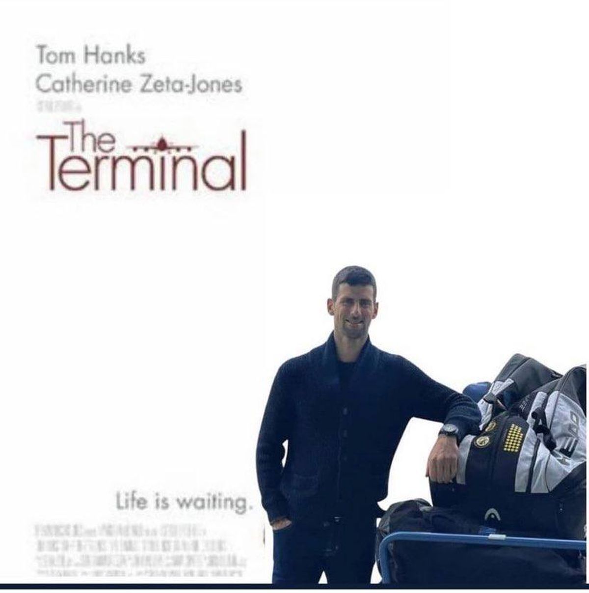 Meme-uri Novak Djokovic