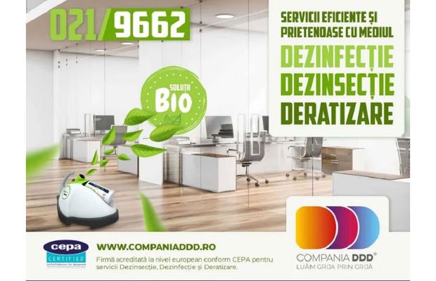 Aspecte care anunță prezența rozătoarelor în locuințe