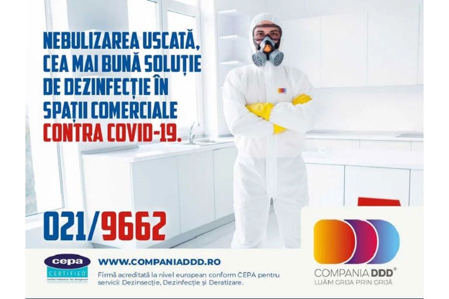 Aspecte care anunță prezența rozătoarelor în locuințe