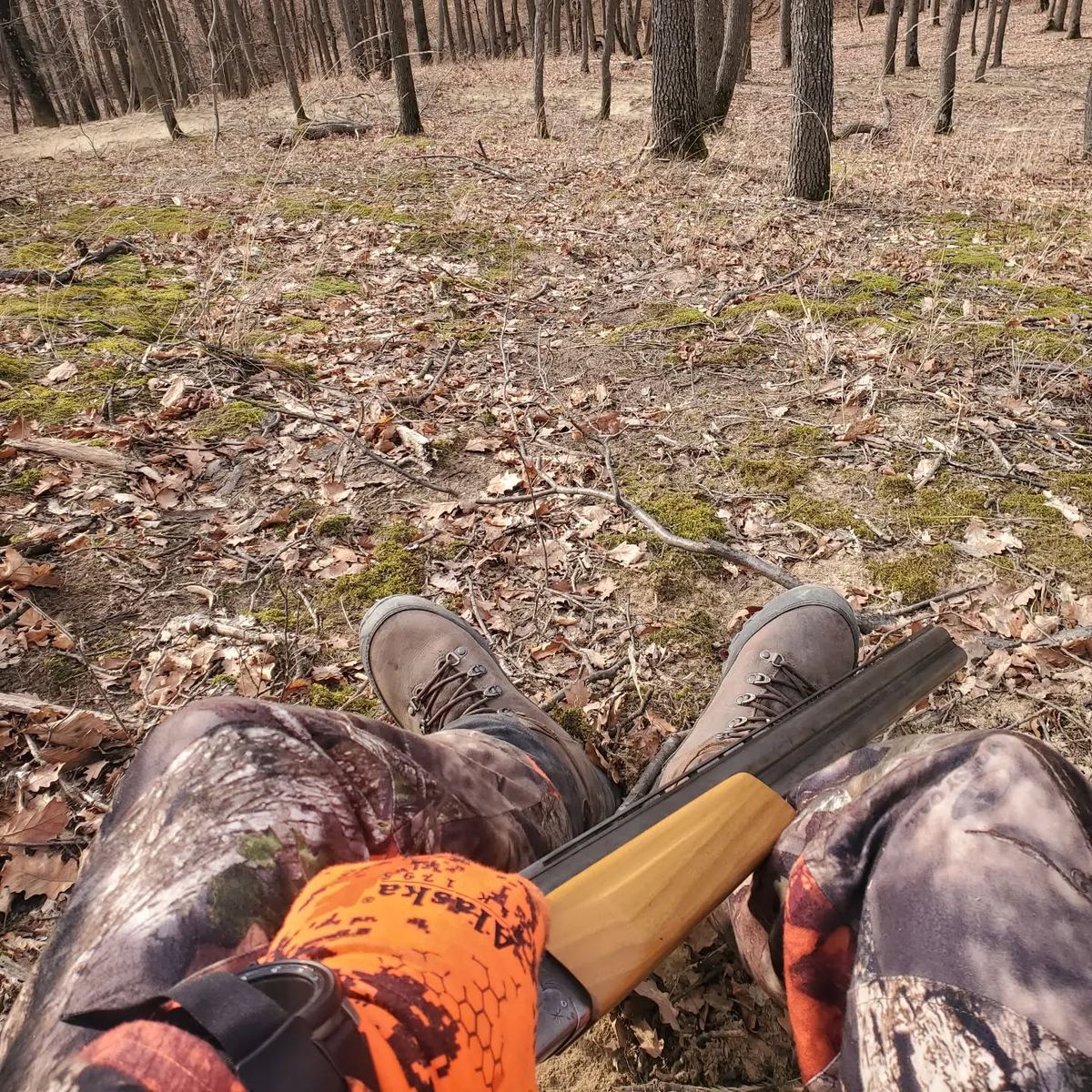 Marius Alexandru -- Desafio. Aventura