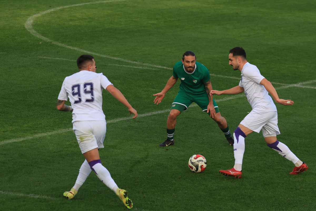 FC Argeș - Bursaspor