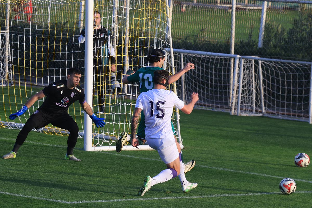 FC Argeș - Bursaspor