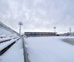 EXCLUSIV VIDEO + FOTO UPDATE Se lucrează din greu la stadionul din Voluntari » Gazonul e gata de meci