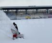 EXCLUSIV VIDEO + FOTO UPDATE Se lucrează din greu la stadionul din Voluntari » Gazonul e gata de meci