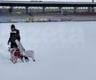 EXCLUSIV VIDEO + FOTO UPDATE Se lucrează din greu la stadionul din Voluntari » Gazonul e gata de meci