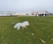 EXCLUSIV VIDEO + FOTO UPDATE Se lucrează din greu la stadionul din Voluntari » Gazonul e gata de meci