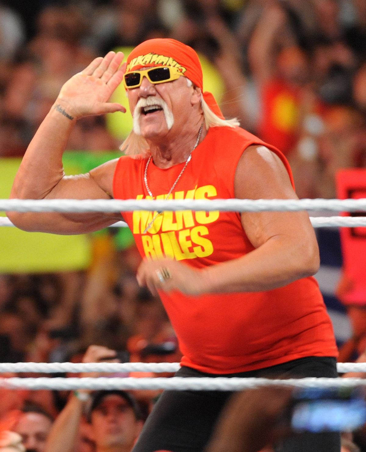 Hulk Hogan