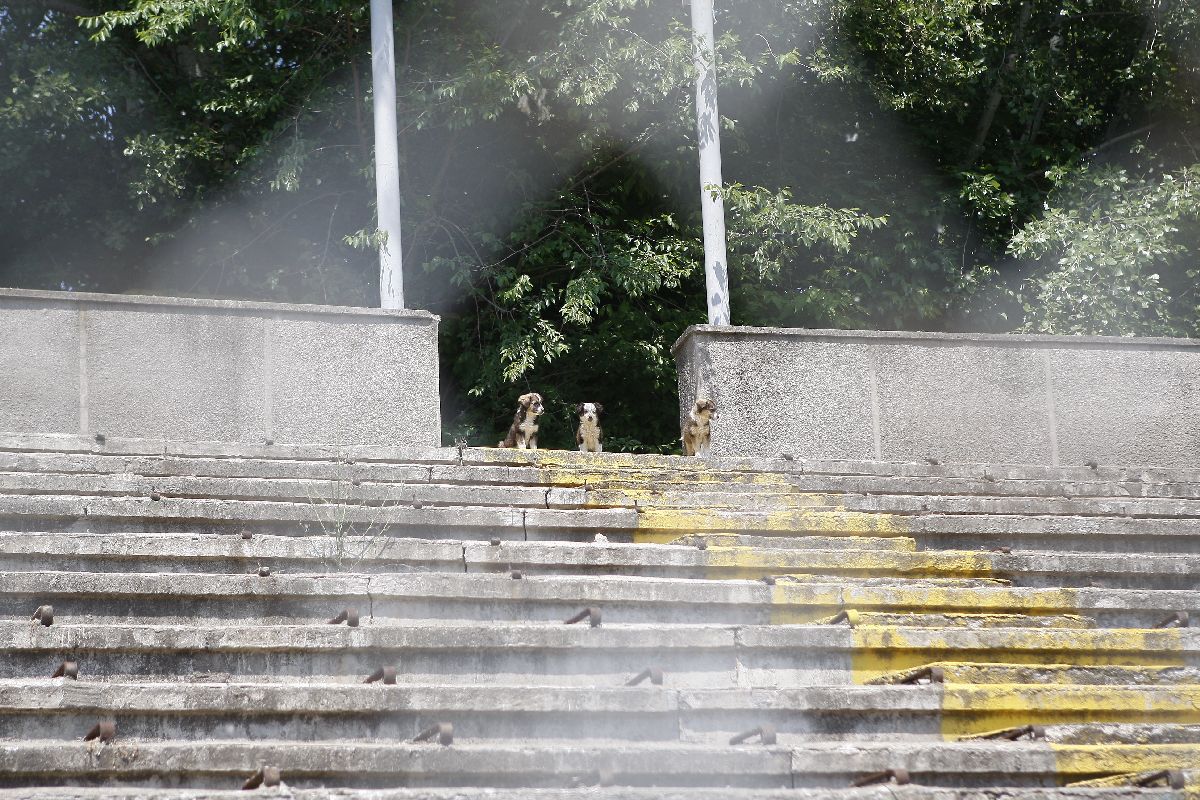 Stadionul „Dunărea” din Galați, la vizita Gazetei Sporturilor din 2011