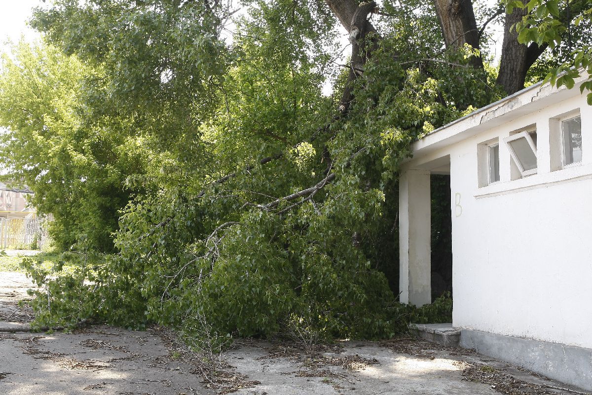Stadionul „Dunărea” din Galați, la vizita Gazetei Sporturilor din 2011