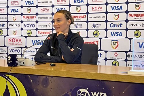 Ana Bogdan, la conferința de presă