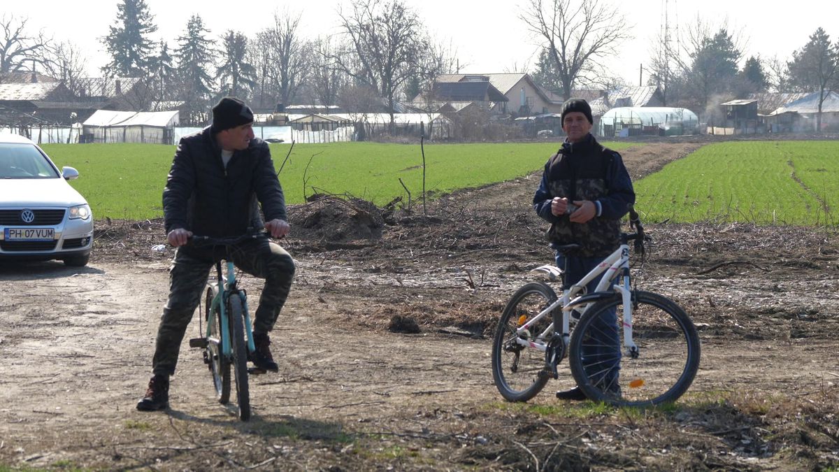 Reportaj savuros din fotbalul foarte mic, la Puchenii Mari - Cocorăștii Colț » „A fost porcu' gras, d-aia avem numai rotofei în echipă! Sunt campion mondial la pahare, țuica mea e vitamină curată”