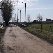 Antrenament condus de Florin Bratu la Metaloglobus/ foto: Andrei Furnigă (GSP)