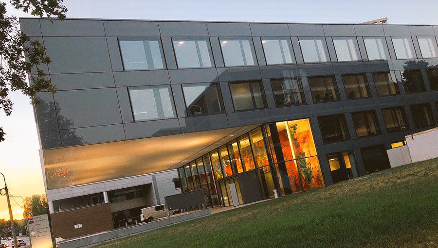 Onorariu amețitor pentru avocatul Anei Bărbosu în ancheta de doping! + Cine achită banii și ce șanse are gimnasta româncă să scape de dosar