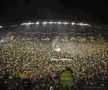 Imagini extraordinare în Nantes - Lyon, foto: Imago