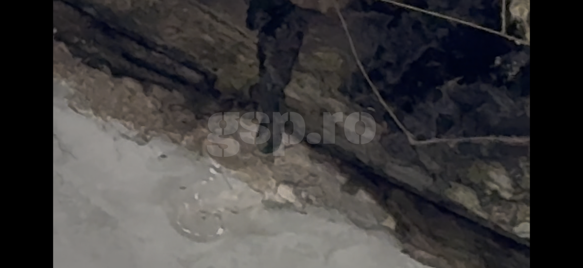 Pereții de la Arena Națională