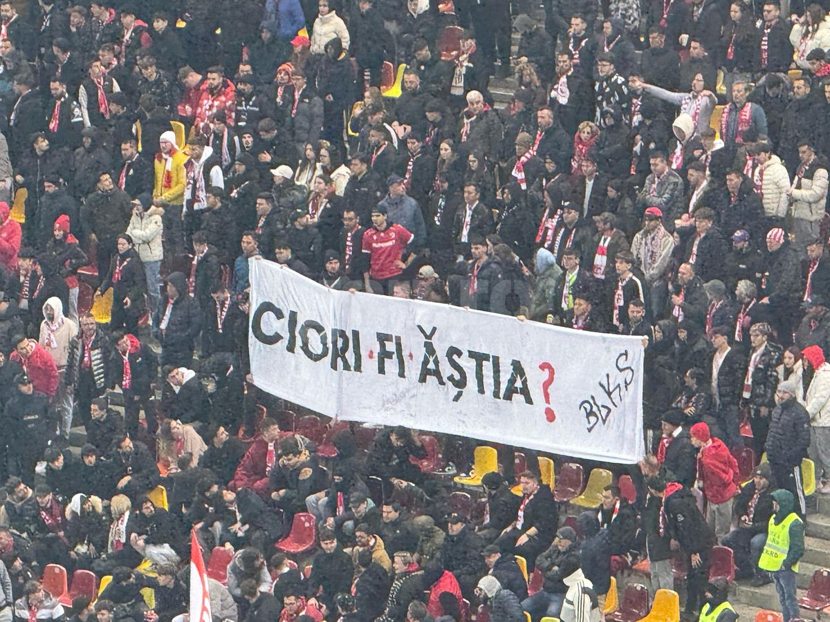 Bannere la Rapid - Dinamo