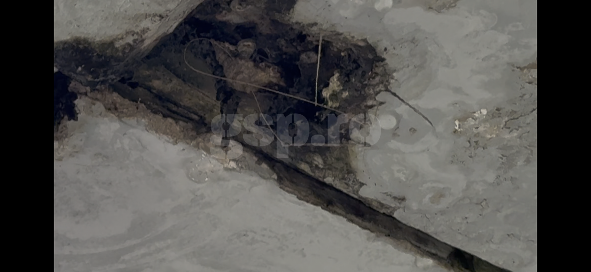 Pereții de la Arena Națională