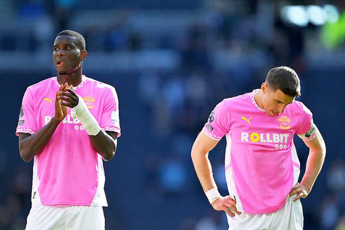 Southampton a adunat doar 10 puncte în primele 31 de etape // foto: Guliver/gettyimages