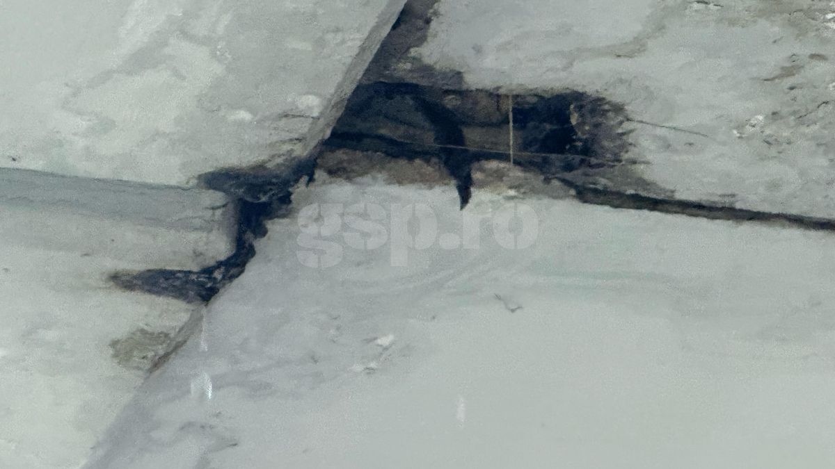 Rapid - Dinamo mai e derby? În Superligă, cele două rivale abia umplu jumătate din Arena Națională