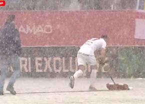 Imaginile lunii în Superliga » Jucătorul i-a luat lopata din mână și a început să sprinteze