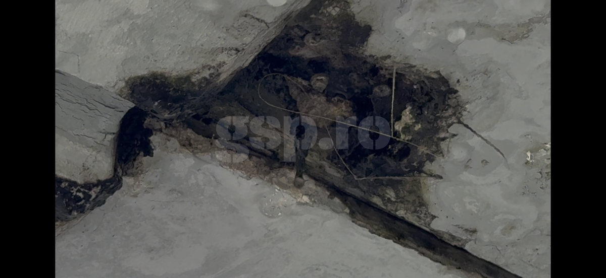 Rapid - Dinamo mai e derby? În Superligă, cele două rivale abia umplu jumătate din Arena Națională