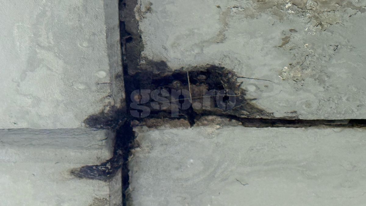 Pereții de la Arena Națională