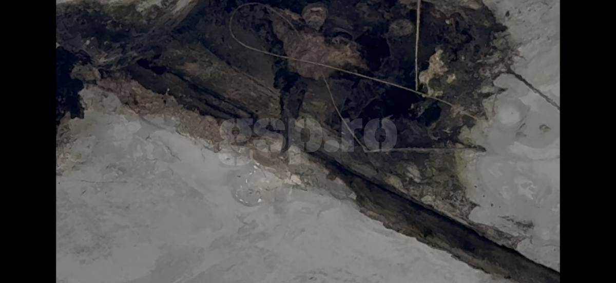 Rapid - Dinamo mai e derby? În Superligă, cele două rivale abia umplu jumătate din Arena Națională